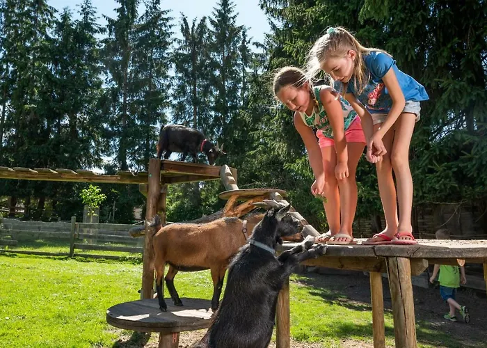 Bliem's Hotel Haus im Ennstal
